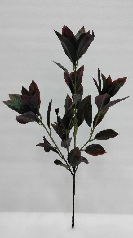 Garden Croton Stick Big